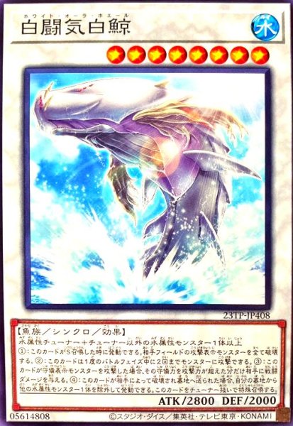 画像1: 白闘気白鯨(高価N) (1)