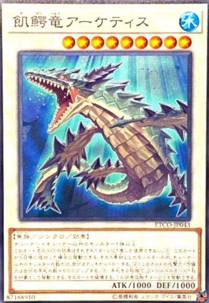 画像1: 飢鰐竜アーケティス(スーパー) (1)