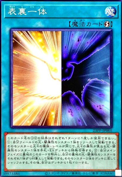 画像1: 表裏一体(高価N) (1)