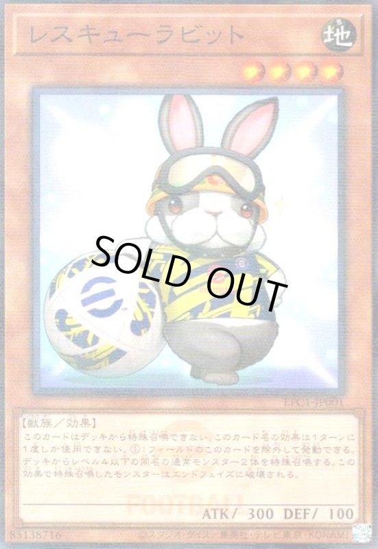 画像1: レスキューラビット(ノーマルパラレル) (1)