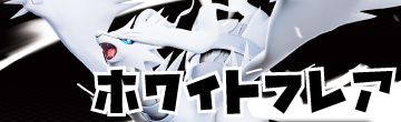 ホワイト