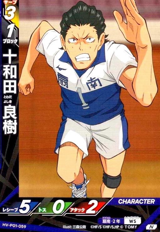 画像1: 十和田 良樹(N)(HV-P01-059) (1)