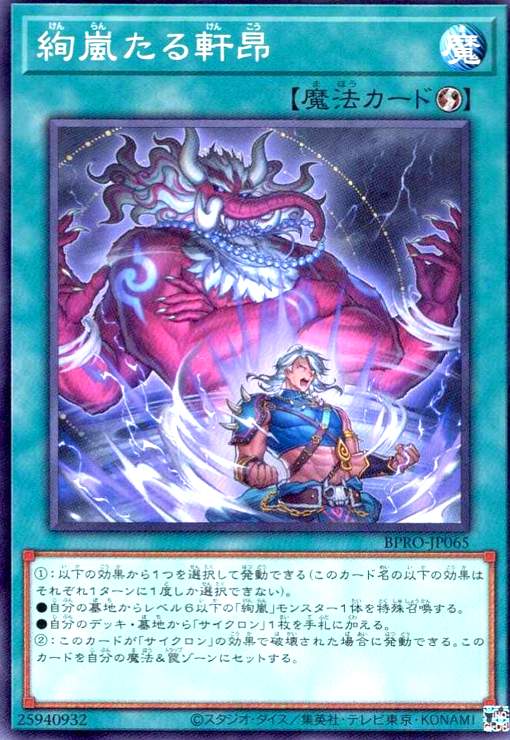 画像1: 絢嵐たる軒昂 (1)